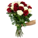 Flowers of ecuadorian roses